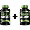 Tribulus Terrestris - Tribulus Maximus 90 tabliet + 90 tabliet BioTech USA
