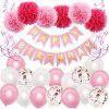 Narodeninové balóny - Happy Birthday, 24 ks ružové