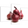Cibuľa červená, obraz (Obraz 90x60cm)