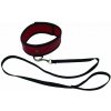 Červený obojok s vodítkom Leash and Red Collar