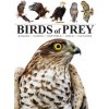 Birds of Prey (Jackson Tom)