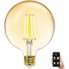 Aigostar B.V. LED Žiarovka FILAMENT G125 E27/6W/230V 2700-6500K - Aigostar AI0607 + záruka 3 roky zadarmo