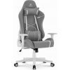 Kožené sivo-biele herné kreslo HELLS CHAIR HC-2001, HC__5907196011733 SKL1