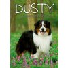 Dusty 2: V nebezpečenstve - Jan Andersen