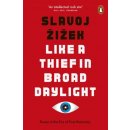 Like A Thief In Broad Daylight - Slavoj Zizek