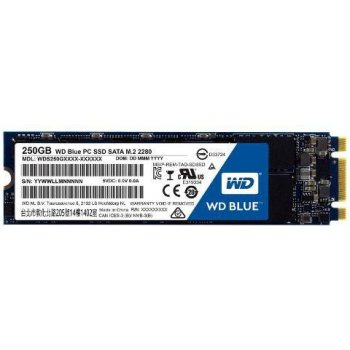 WD Blue 250GB, WDS250G2B0B