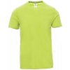 PAYPER SUNSET 000101-0030 / Pánske tričko s krátkym rukávom - acid green S
