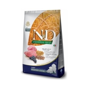 N&D dog GF PUMPKIN Puppy Medium & maxi lamb & blueberry 2,5 kg