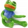 Plyšová hračka Smutná Žaba 45cm Pepe Frog Meme, zábavná