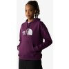 THE NORTH FACE W LIGHT DREW PEAK HOODIE-EU BLACK CURRAN XS