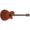 IBANEZ AEG220-LGS Natural Low Gloss