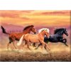 Royal Langnickel malování podle čísel Běžící koně 40 x 30 cm