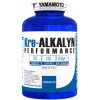 Yamamoto Nutrition Kre-ALKALYN PERFORMANCE, 120 kapsúl