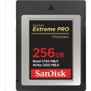 SanDisk 256GB SDCFE-256G-GN4NN