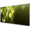 Obraz plexi Listy slnko lúče 100x50 cm