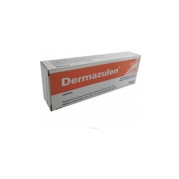 Dermazulen ung.der.1 x 30 g