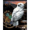 Zuty – Maľovanie podľa čísel – Plagát Hedviga a erb Rokfort (Harry Potter), 40 × 50 cm, plátno 8596530240327