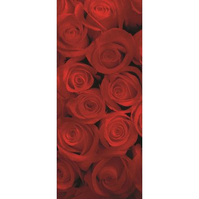 ForWall Fototapeta na dvere Red roses vlies 91 x 211 cm