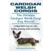 Cardigan Welsh Corgis. The Ultimate Cardigan Welsh Corgi Dog Manual. Cardigan Welsh Corgi care, costs, feeding, grooming, health and training.