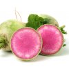 Reďkev siata Red Meat - Raphanus sativus - semená reďkvi - 80 ks