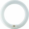 NARVA BEL BELLIGHT Žiarivka 22W/865 G10Q kruhová 29x216mm