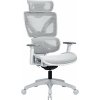 AlzaErgo Chair Delta 1