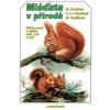 Mláďata v přírodě - Bouchner, Procházka Pavel, Miroslav