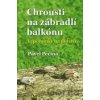 Chrousti na zábradlí balkónu - Pavel Pecina