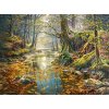 Puzzle Castorland Puzzle Jeseň v lese 2000 dielikov (200757)