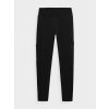 4F 4FAW23TFTRF404 DEEP BLACK Dámske trekingové legíny US XXL