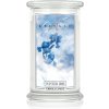 Kringle Candle Winter Iris 624 g