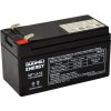 GOOWEI ENERGY 12V 1,3Ah OT1.3-12