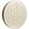 Meinl Sonic Energy WD22FOL