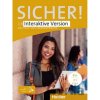 Sicher! Übungsgrammatik ― Digitale Ausgabe - Axel Hering, Magdalena Matussek, Michaela Perlmann-Balme