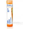 Sulfur Iodatum gra.1 x 4 g 15CH