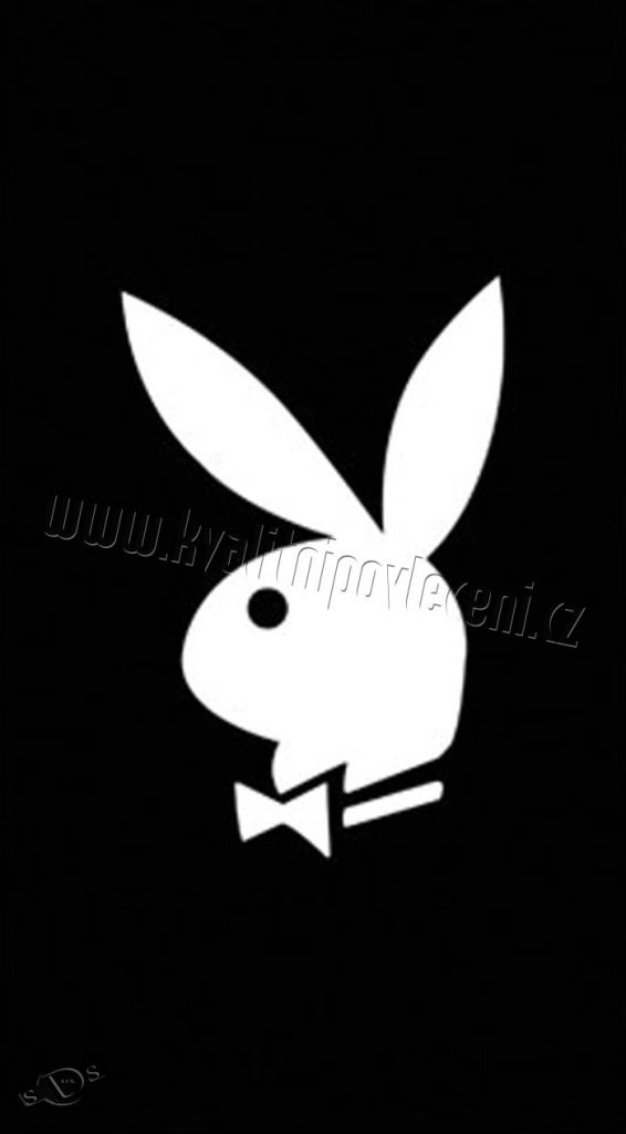 Osuška Playboy Black 76 x 152 od 25,28 € - Heureka.sk