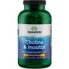 Swanson Choline & Inositol, 250 kapsúl