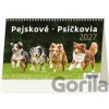 Pejskové - Psíčkovia 2027 - stolní kalendář - Helma