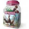 Faunica Sada v Mega tube Dinosaury