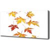 Foto obraz na plátne do obývačky Jesenné lístie 100x50 cm