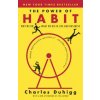 The Power of Habit (Charles Duhigg)(Brožovaná)