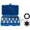 TRIUMF Sada hlavíc E-profil a bitov Torx v 1/2