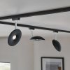 Paulmann URail LED spot Sphere 2 700K čierna - 96938