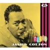 Cotton James - Rocks [CD]
