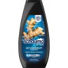 Schauma šampón Anti-Dandruff intensive 350 ml