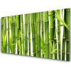 Sklenený obklad Do kuchyne Bambusové výhonky listy bambus 100x50 cm
