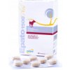 ICF Epato 1500 32 tbl