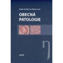 Obecná patologie - Ctibor Povýšil, Ivo Šteiner