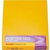 Kodak Portra 160 film 4x5
