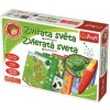Malý objevitel Zvířata světa